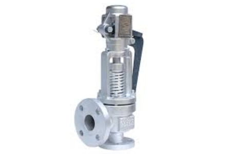 Spring-Loaded Safety Relief Valves