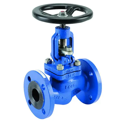 globe valve